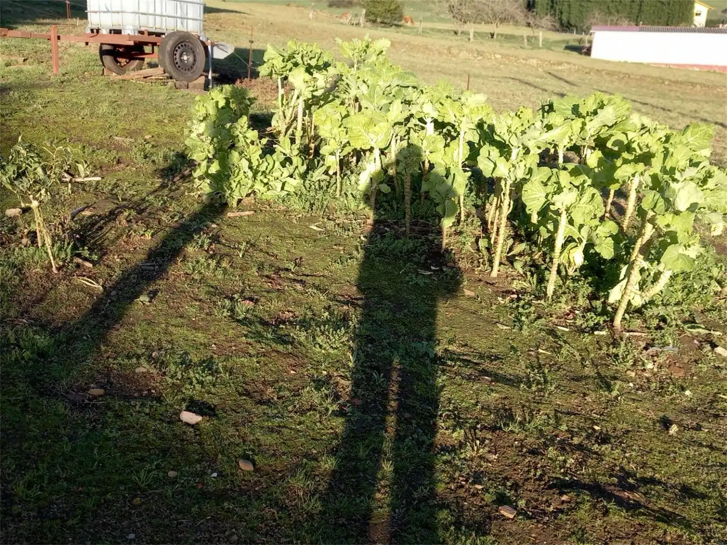 Jardí de Casa o xalet en venda en Soto del Barco