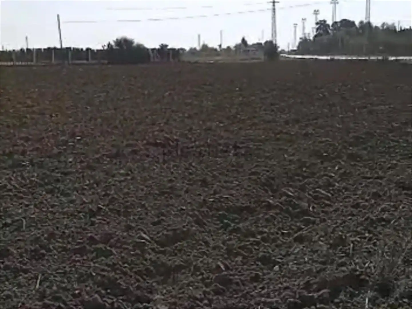 Finca rústica en venta en Carretera de Sanlúcar, Carretera de Sanlúcar - Sudamérica Finca rústica en venta en El Puerto de Santa María