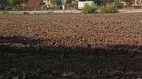 Country house for sale in Carretera de Sanlúcar, Carretera de Sanlúcar - Sudamérica, Cádiz - image 3 Photo 3 of Country house for sale in Carretera de Sanlúcar, Carretera de Sanlúcar - Sudamérica, Cádiz