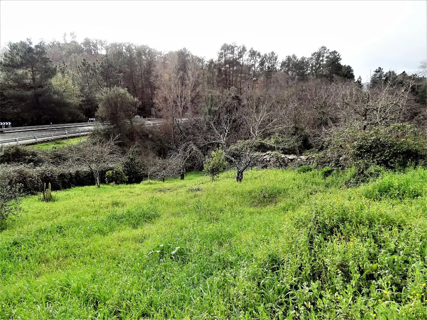 Residential for sale in Almonaster la Real