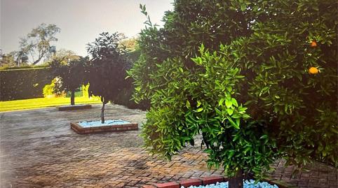 Photo 3 of House or chalet for sale in Urbanización Residencial Parraluz, 6, Santibáñez el Alto, Cáceres