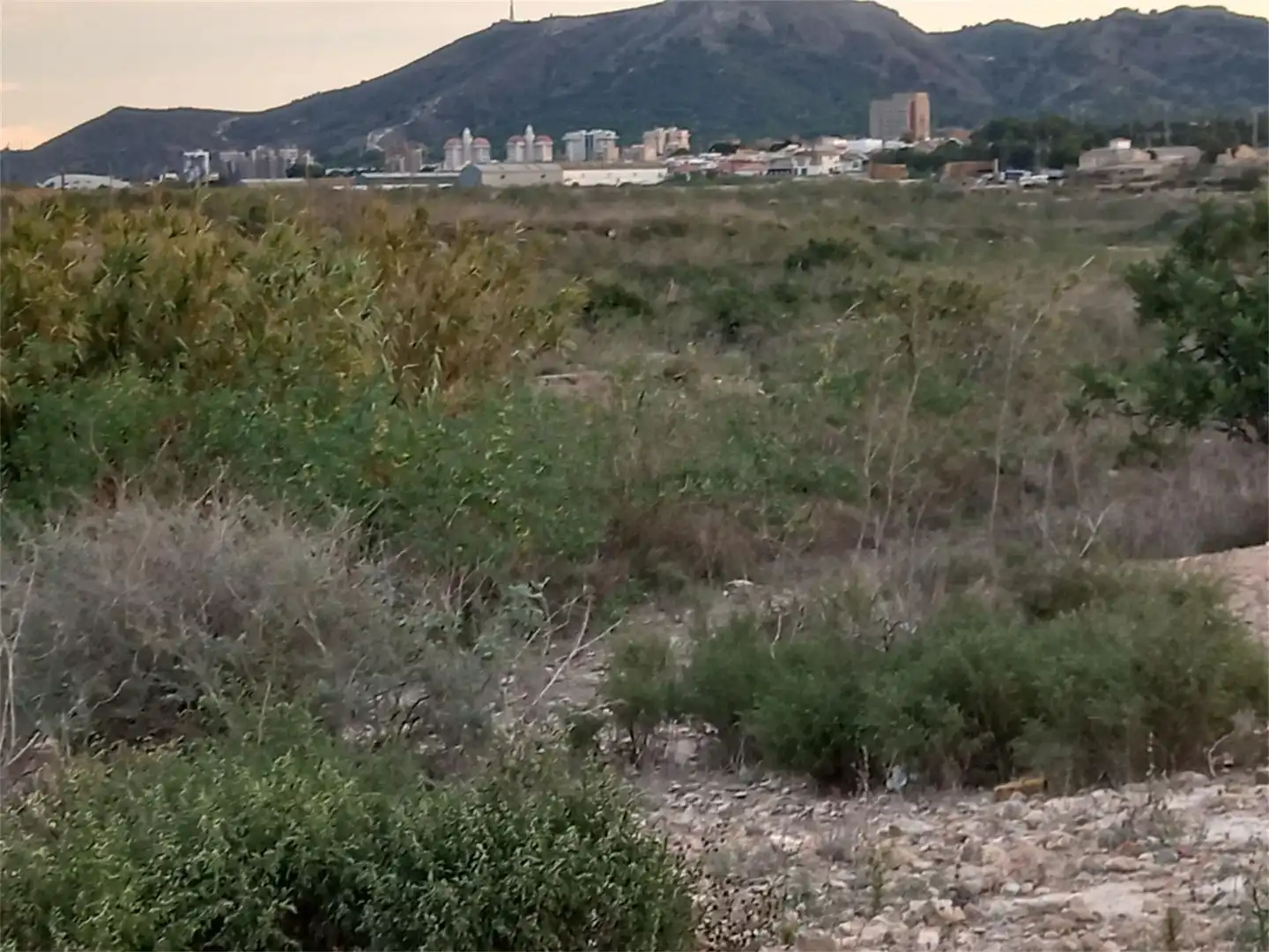Terreno industrial en venta en Cartagena