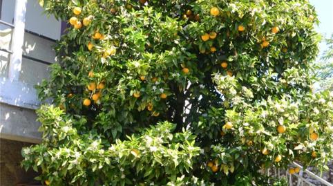 Foto 3 de Finca rústica en venda a Estrada Valongo, 3, Cortegada, Ourense