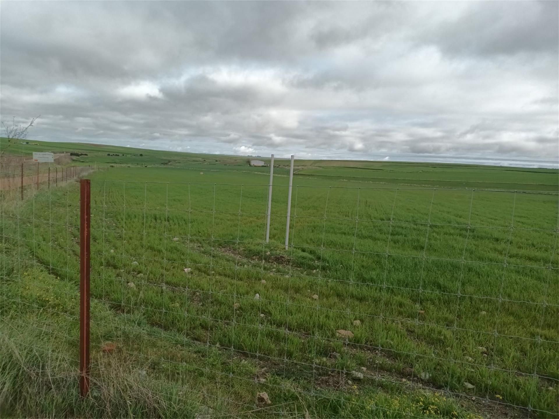 Land for sale in Llerena