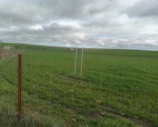 Land for sale in Llerena