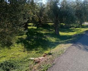 Non-constructible Land for sale in Alcolea