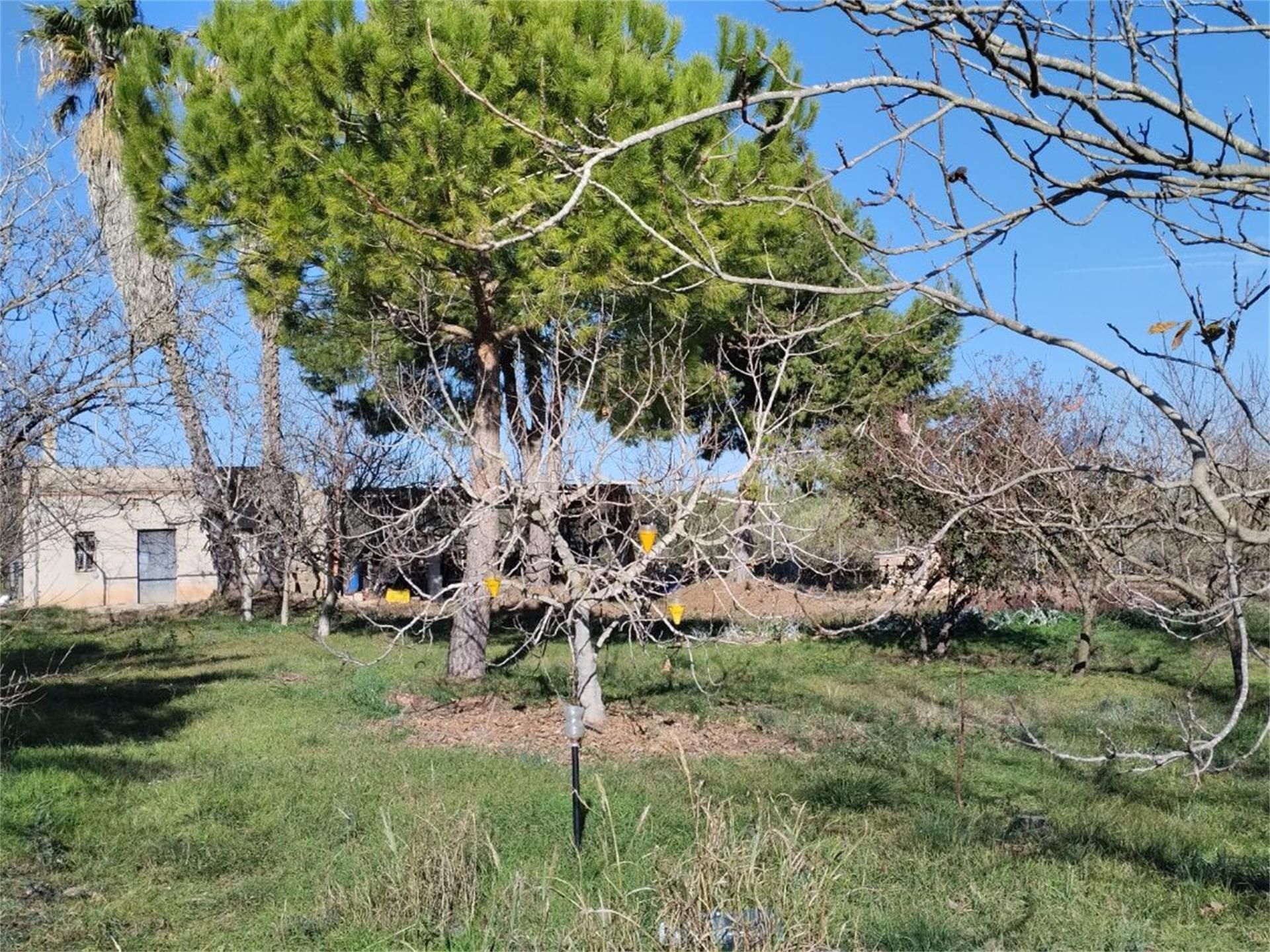 Land for sale in Valletes - Xiribecs Land for sale in Amposta