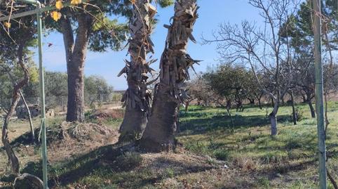 Photo 5 of Land for sale in Valletes - Xiribecs, Tarragona