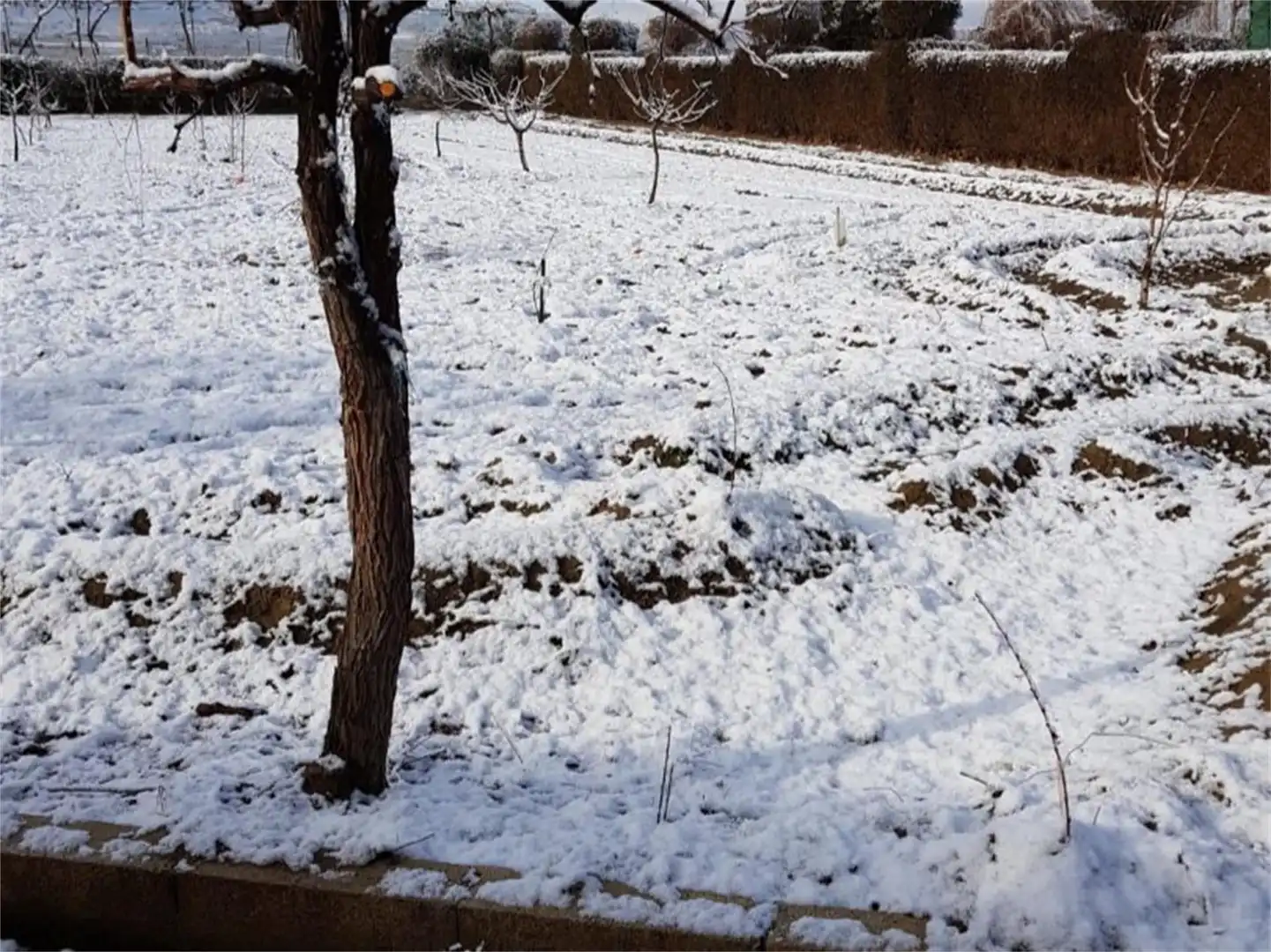 Finca rústica en venda a A-92, Guadix Finca rústica en venda en Guadix amb Aire condicionat, Calefacció i Jardí privat