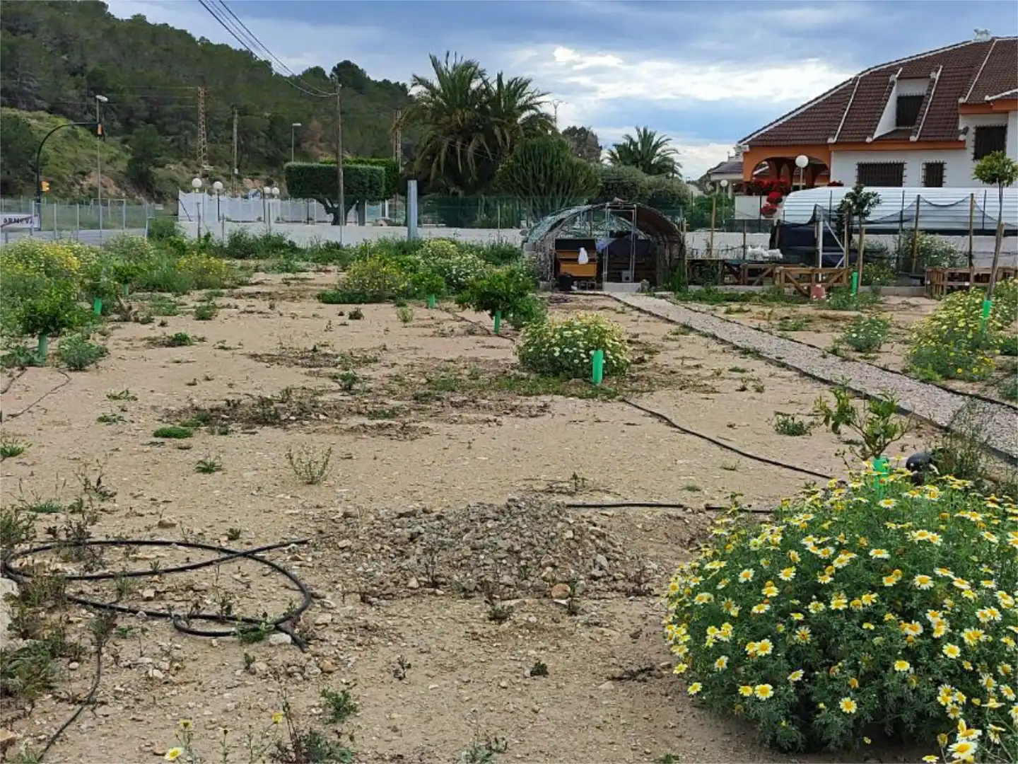 Jardí de Pis en venda en Orihuela amb Jardí privat