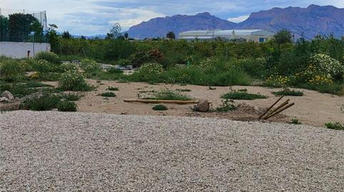 Pis en venda a Carretera Mojón, Desamparados - Hurchillo - Torremendo, Alicante - imatge 3 Foto 3 de Pis en venda a Carretera Mojón, Desamparados - Hurchillo - Torremendo, Alicante