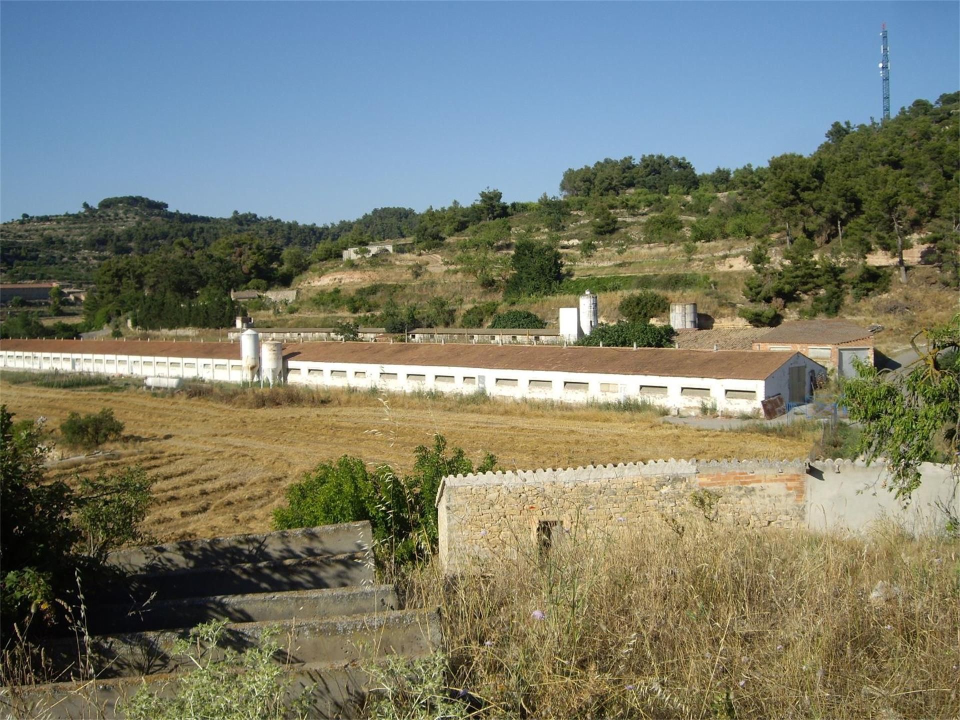 Exterior view of Industrial buildings for sale in Els Omells de na Gaia