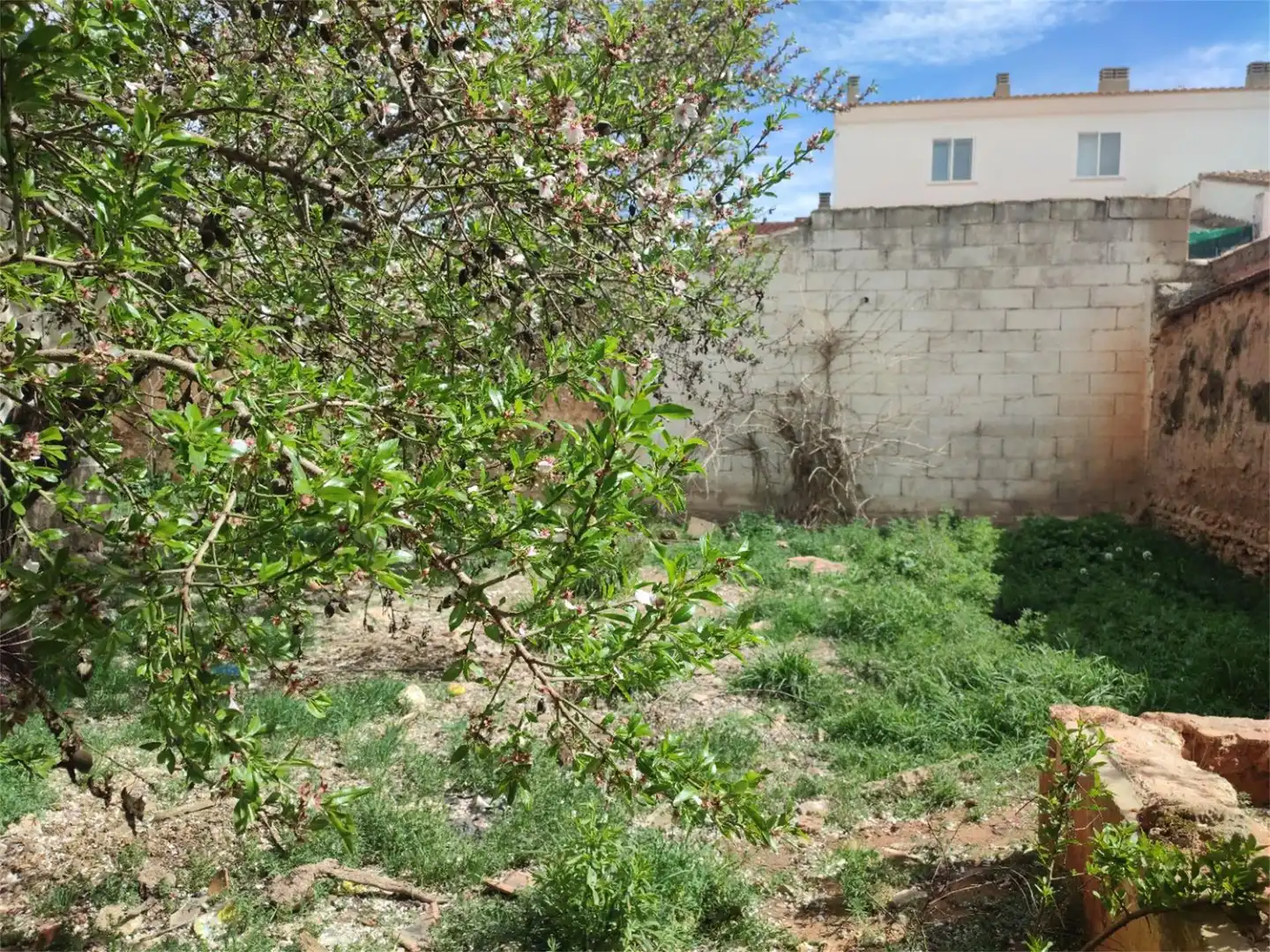 Casa o chalet en venta en Calle Portillejo, Tarazona de la Mancha Casa o chalet en venta en Tarazona de la Mancha con Jardín privado y Terraza