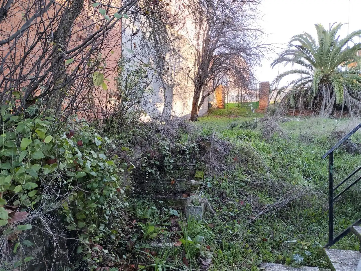Finca rústica en venta en Calle Castilla, 2, Santo Domingo-Caudilla Finca rústica en venta en Santo Domingo-Caudilla