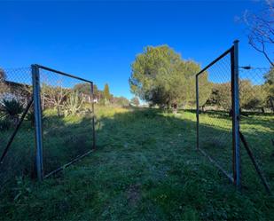 Terreny en venda en Casar de Cáceres