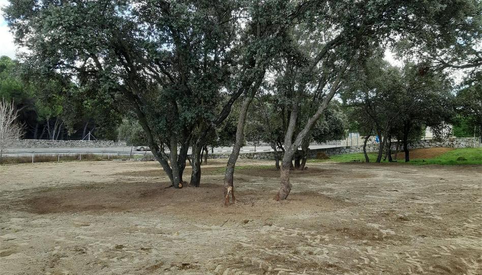 Residential for sale in Calle Puerto de Navacerrada, 34, Puerto de Galapagar - Las Cuestas, Madrid - image 1 Photo 1 of Residential for sale in Calle Puerto de Navacerrada, 34, Puerto de Galapagar - Las Cuestas, Madrid