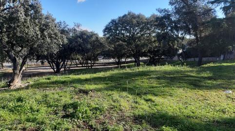 Residential for sale in Calle Puerto de Navacerrada, 34, Puerto de Galapagar - Las Cuestas, Madrid - image 2 Photo 2 of Residential for sale in Calle Puerto de Navacerrada, 34, Puerto de Galapagar - Las Cuestas, Madrid