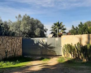 Jardí de Casa o xalet en venda en Vinaròs amb Terrassa, Piscina i Balcó