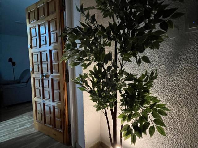 Piso en Alquiler en Avenida Gran Vía de la Manga, 1 en Playa de las Gaviotas - El Pedrucho