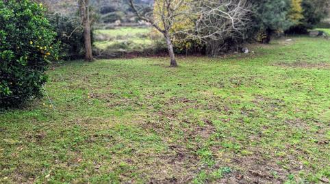 Terreno en venta en Hontoria, Pría - Nueva-Hontoria - Naves, Asturias - imagen 3 Foto 3 de Terreno en venta en Hontoria, Pría - Nueva-Hontoria - Naves, Asturias
