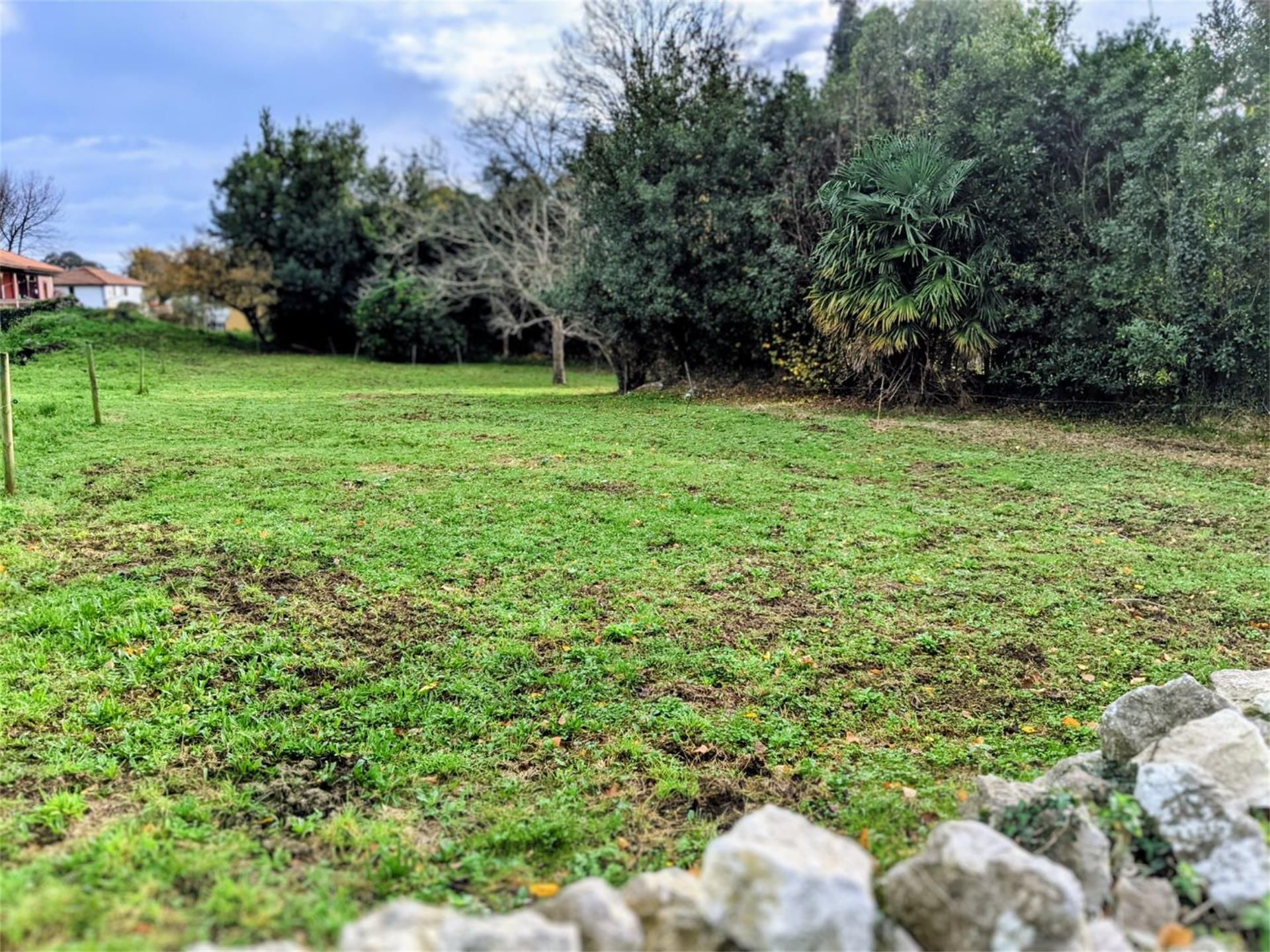 Land for sale in Llanes