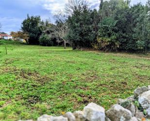 Land for sale in Llanes