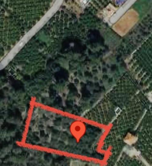 Terreno en venta en Carrer Carretera D'antella, 1, Gavarda, Valencia - imagen 1 Foto 1 de Terreno en venta en Carrer Carretera D'antella, 1, Gavarda, Valencia