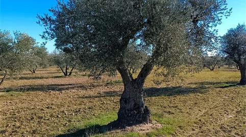 No Urbanitzable en venda a Fuensalida, Toledo - imatge 2 Foto 2 de No Urbanitzable en venda a Fuensalida, Toledo