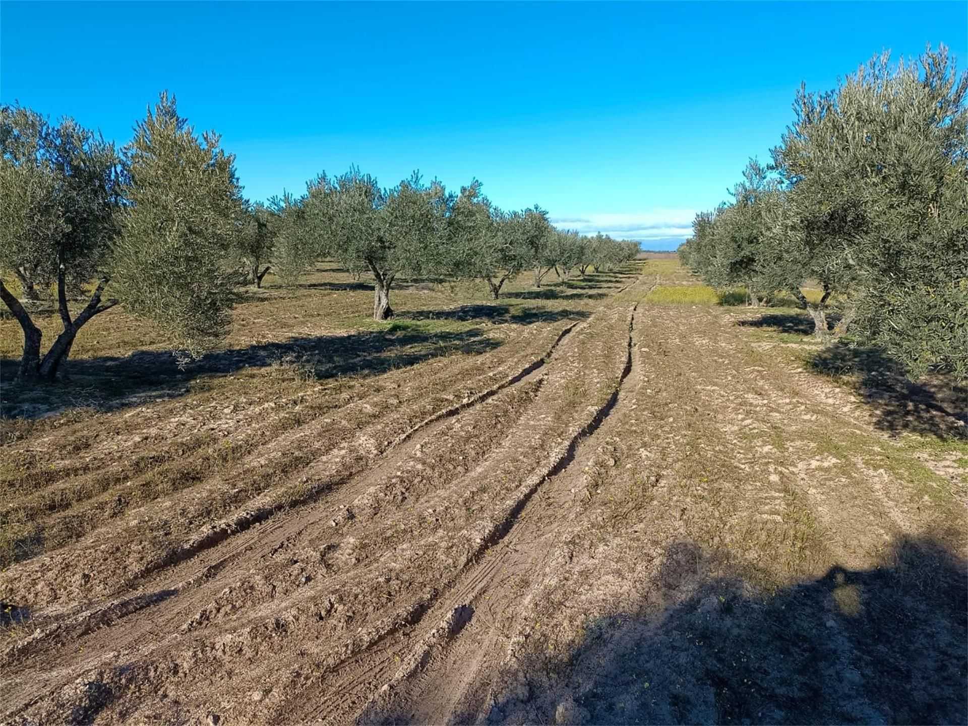 No Urbanitzable en venda en Fuensalida