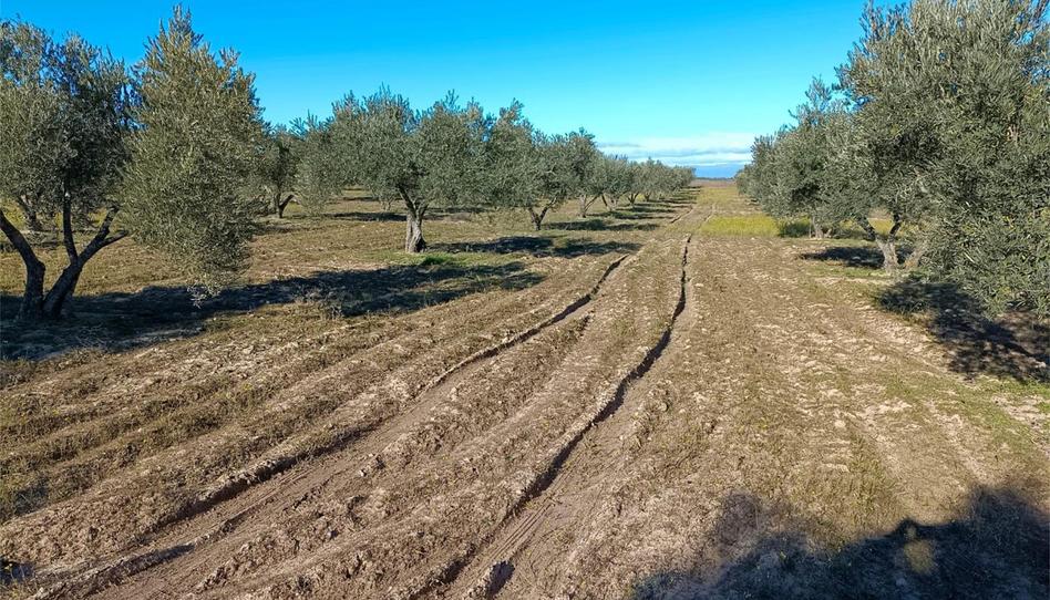 No Urbanitzable en venda a Fuensalida, Toledo - imatge 1 Foto 1 de No Urbanitzable en venda a Fuensalida, Toledo