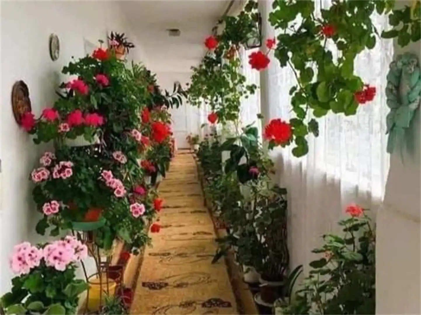 Casa adosada en venta en Calle de San José, 5, La Font d'en Carròs Terraza de Casa adosada en venta en La Font d'en Carròs con Aire acondicionado, Terraza y Balcón
