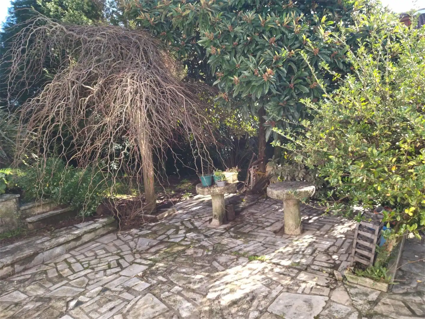 Casa o chalet en venta en Rúa Álvaro Cunqueiro, 3, A Cañiza Jardín de Casa o chalet en venta en A Cañiza con Terraza y Balcón
