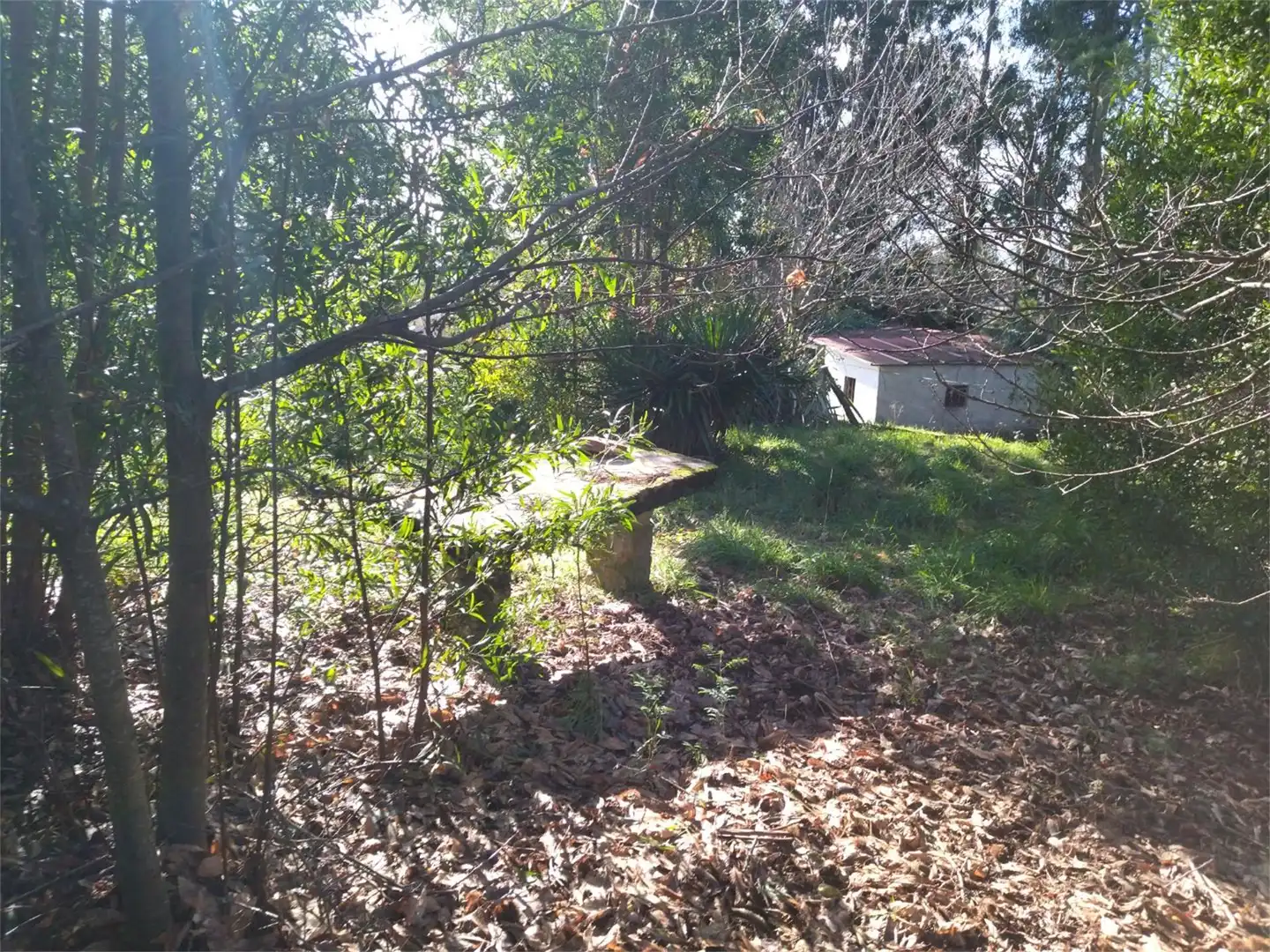 Casa o chalet en venta en Rúa Álvaro Cunqueiro, 3, A Cañiza Casa o chalet en venta en A Cañiza con Terraza y Balcón