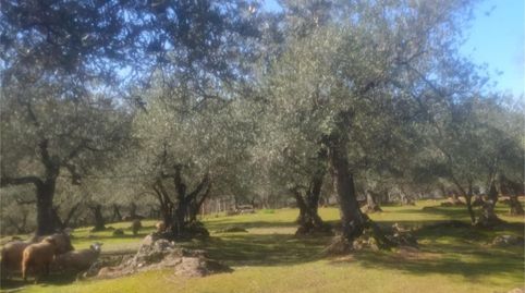 Foto 2 de Finca rústica en venda a Zufre, Huelva