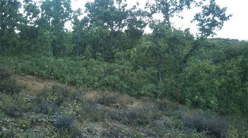 Foto 4 de Terreny en venda a Calle Aragón, Madroñera, Cáceres