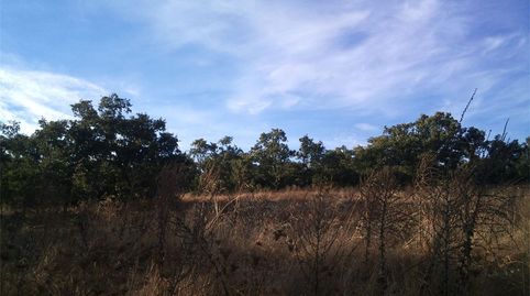 Foto 5 de Terreny en venda a Calle Aragón, Madroñera, Cáceres