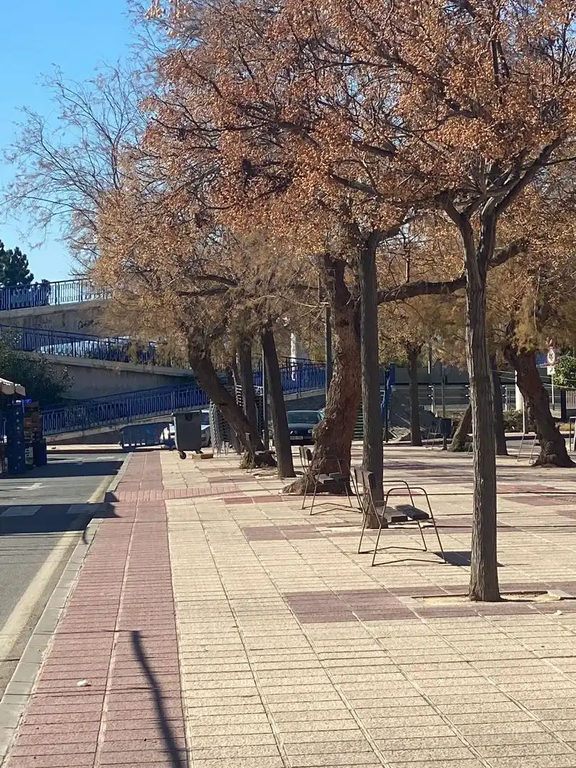 Vista exterior de Local en venta en Murcia
