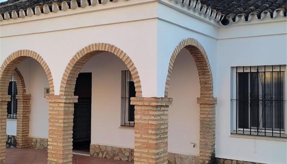 Photo 1 of Flat for sale in Calle Nueva, 51, Aznalcázar, Sevilla