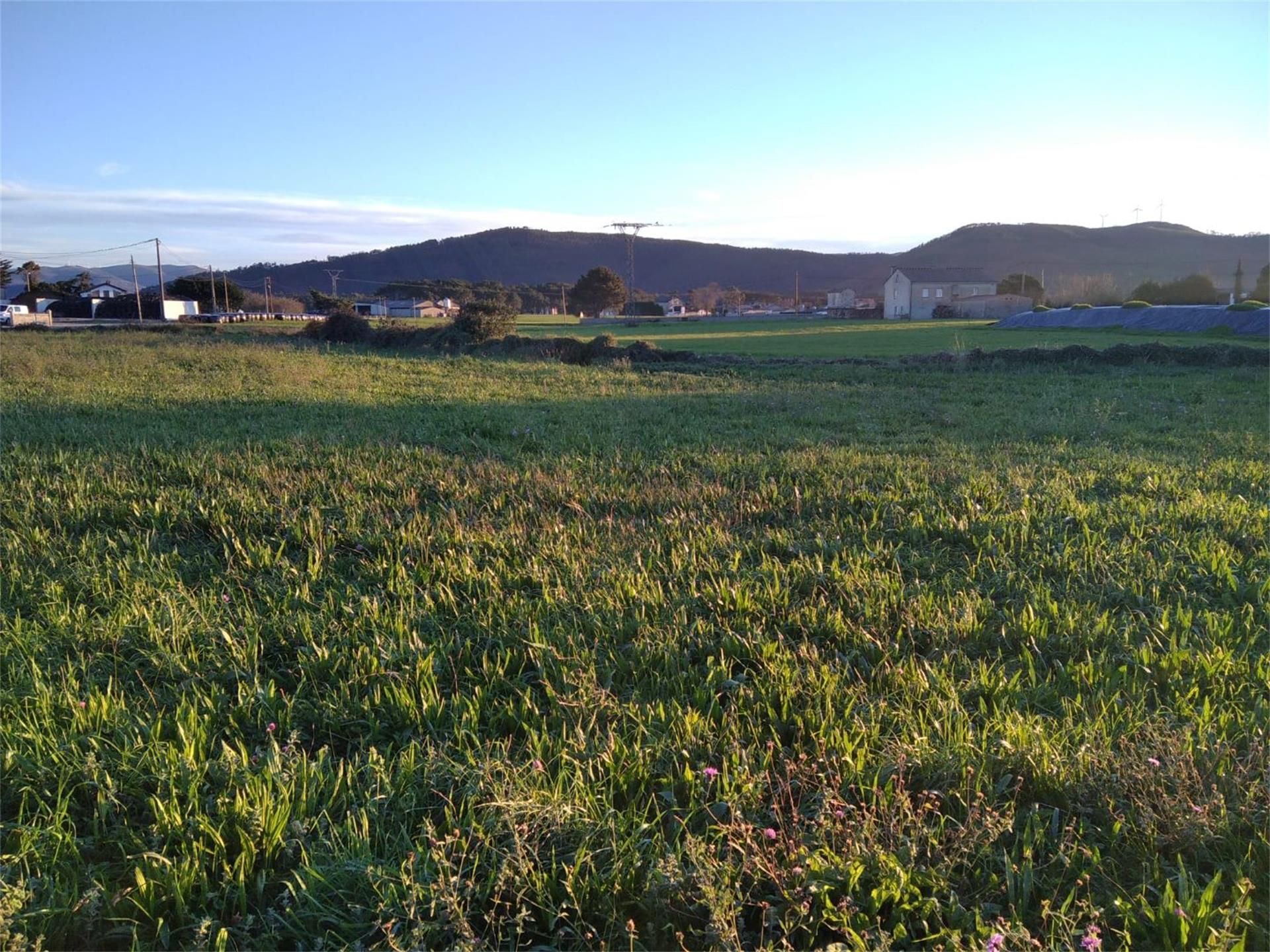 Urbanitzable en venda en Coaña