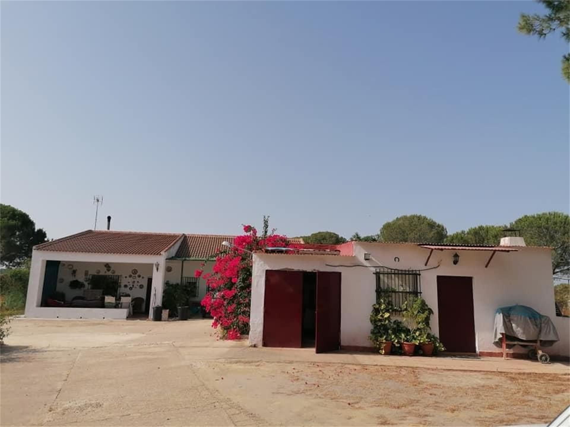 Vista exterior de Casa o xalet en venda en Bonares amb Aire condicionat, Calefacció i Jardí privat