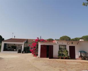 Vista exterior de Casa o xalet en venda en Bonares amb Aire condicionat, Terrassa i Piscina