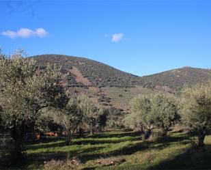 Garden of Country house for sale in Robledo del Mazo