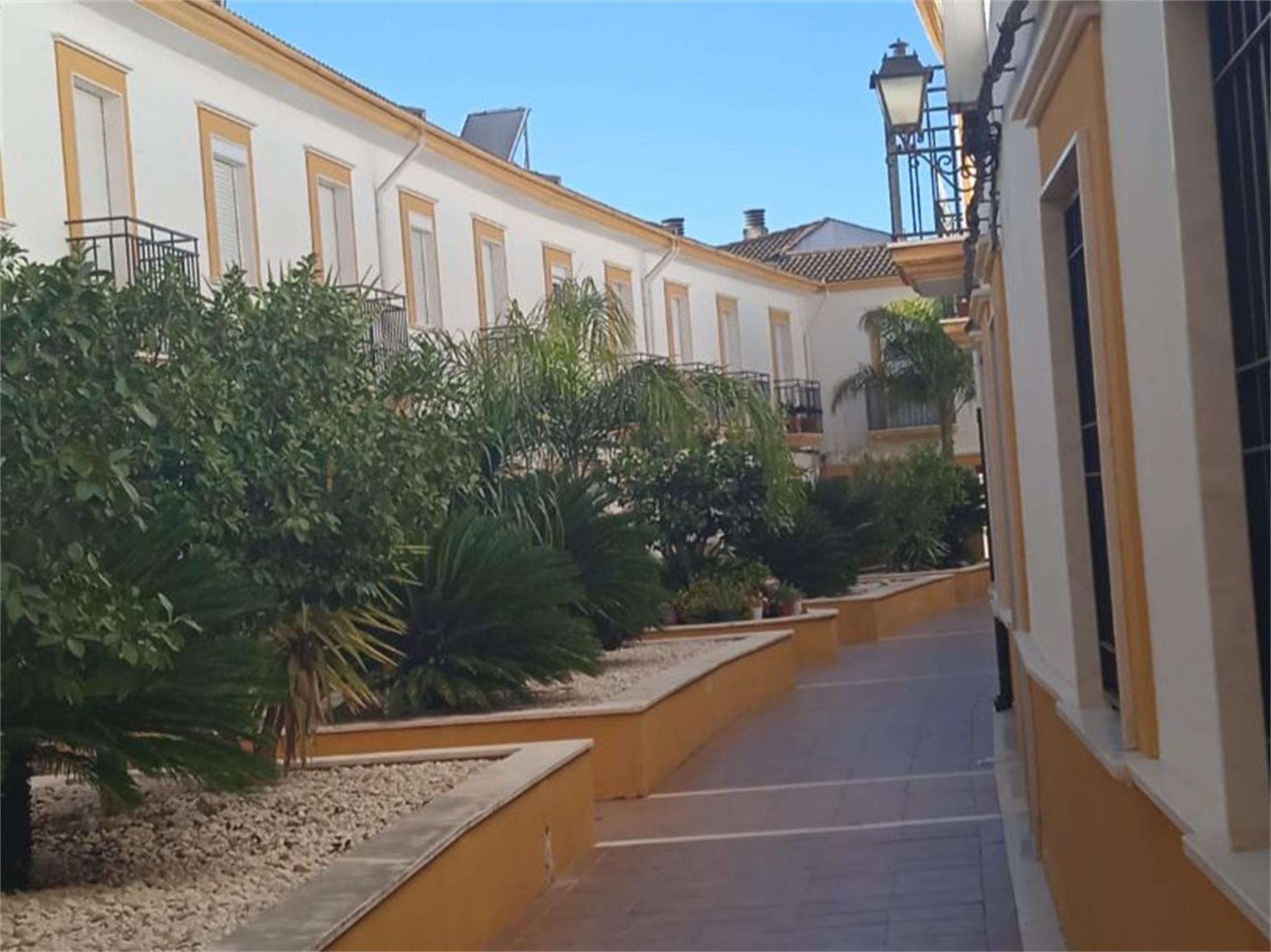 Vista exterior de Pis en venda en Rute amb Jardí privat i Moblat