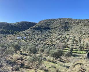 Land for sale in Níjar