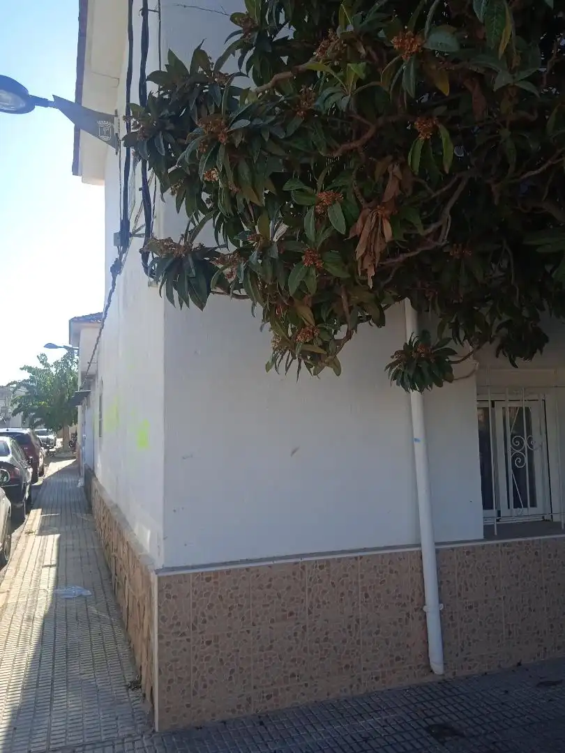 Vista exterior de Casa adosada en venda en Abarán amb Balcó