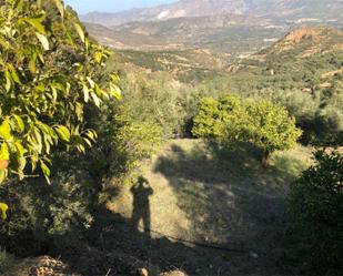 Land for sale in El Valle