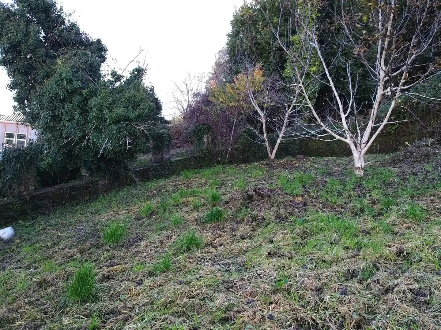 Casa o xalet en venda a Rúa Porto de Arriba, 2, Pontedeume Casa o xalet en venda en Pontedeume amb Jardí privat