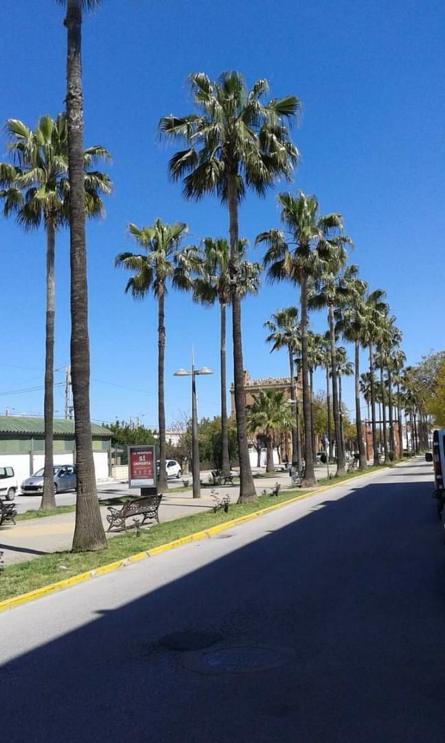Apartament en venda a Avenida de la Constitución, 28, La Palma del Condado