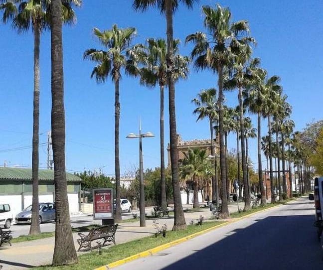 Photo 1 of Apartment for sale in Avenida de la Constitución, 28, La Palma del Condado, Huelva