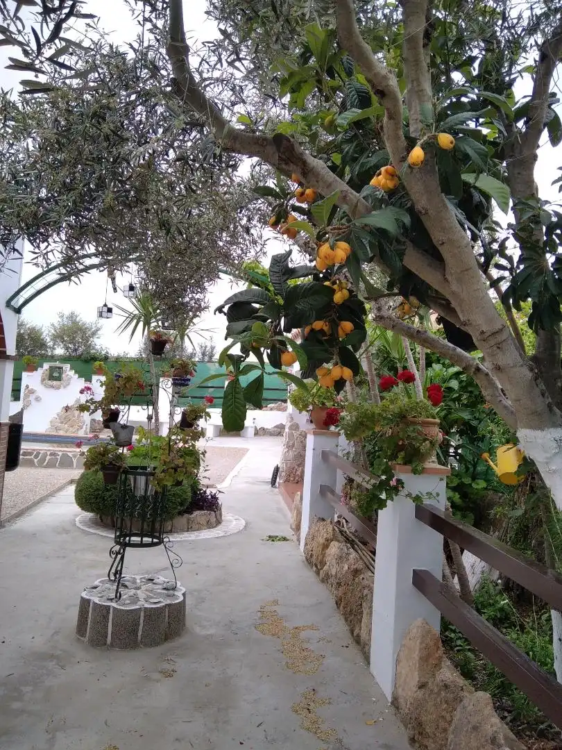 Houses for rent in Calle el Brosque, 14, Montellano Houses for rent in Montellano with Heating, Private garden and Terrace